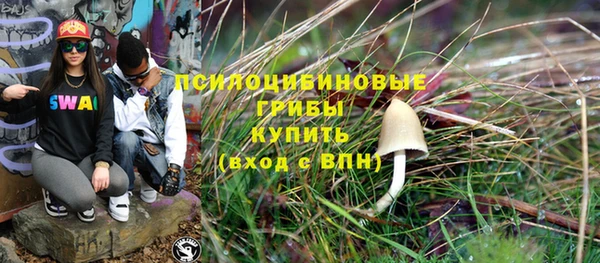 винт Богданович